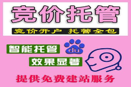 案例深度剖析：SEM网络推广助力企业业绩增长